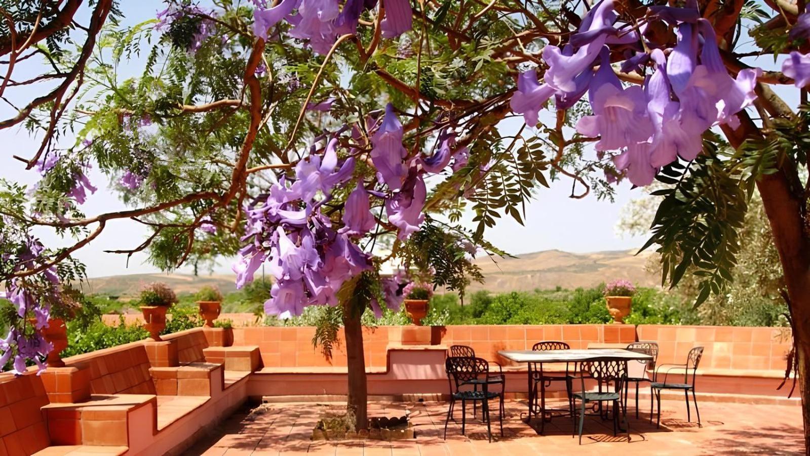 Agriturismo Gianferrante Paterno  Buitenkant foto