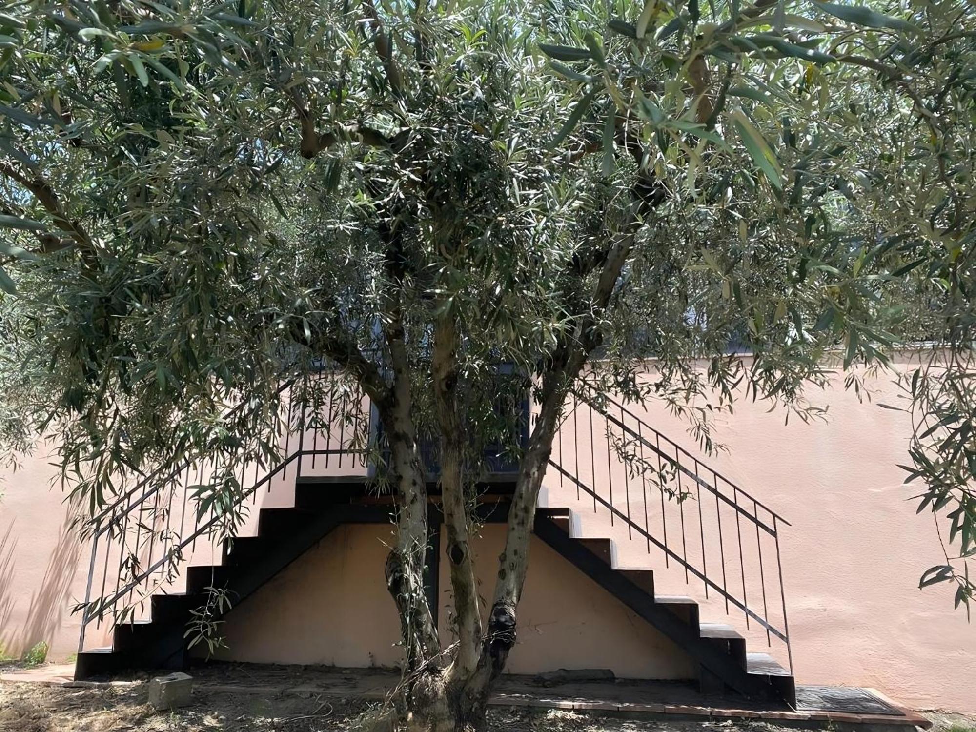 Agriturismo Gianferrante Paterno  Buitenkant foto