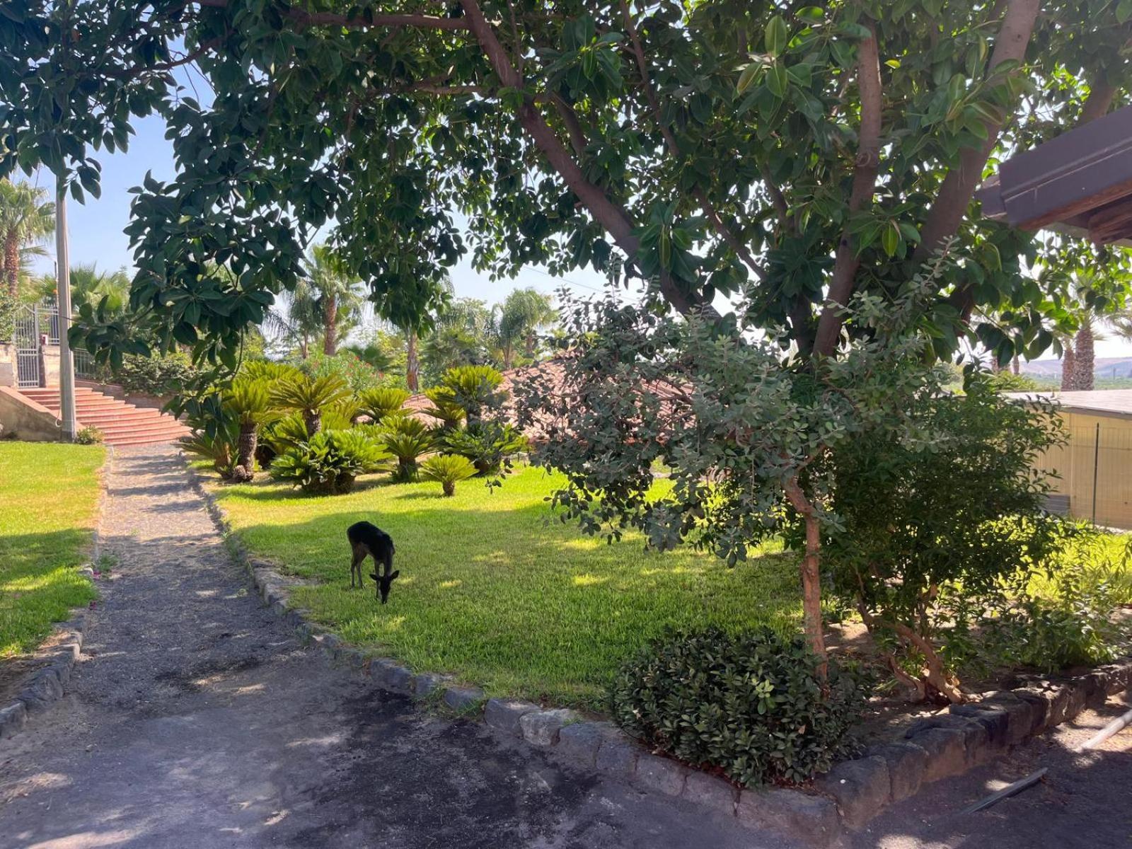 Agriturismo Gianferrante Paterno  Buitenkant foto