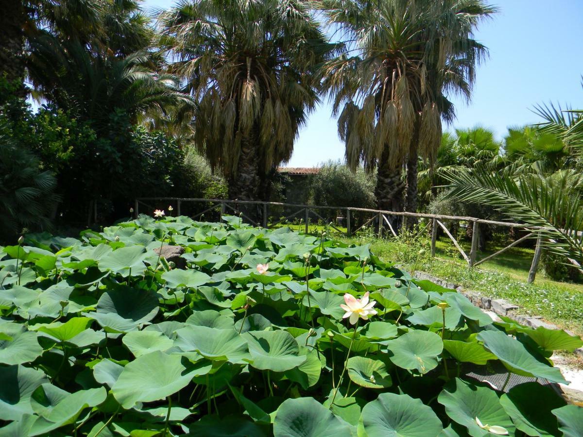 Agriturismo Gianferrante Paterno  Buitenkant foto