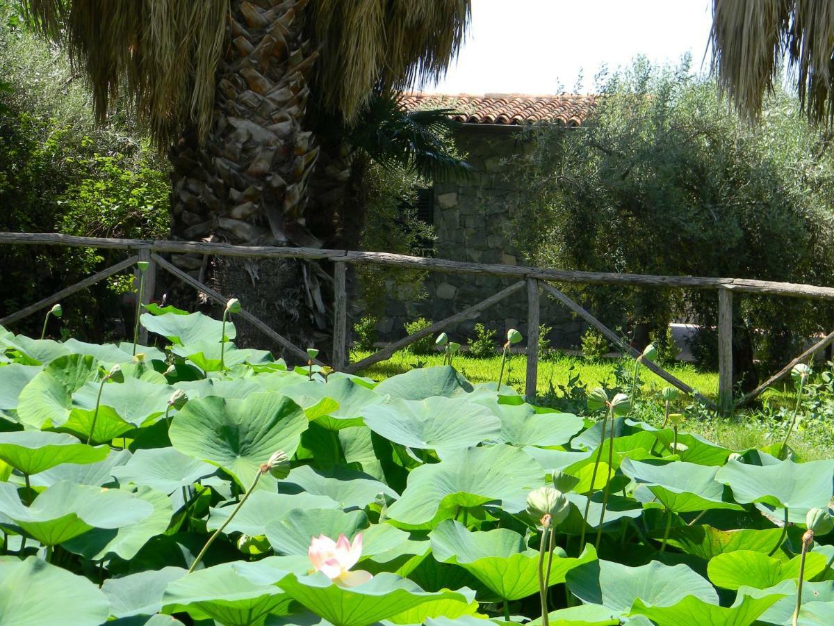 Agriturismo Gianferrante Paterno  Buitenkant foto
